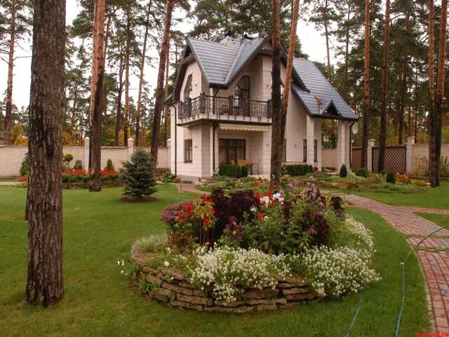 от клещей